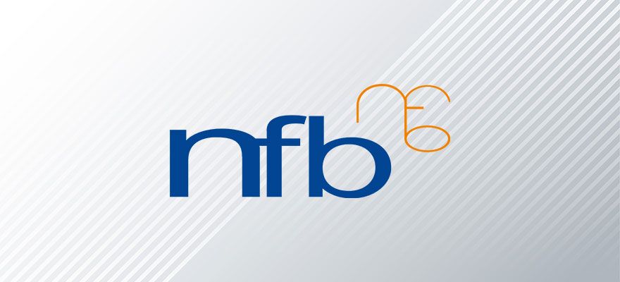 NFB Mühendislik  Kapak Resmi